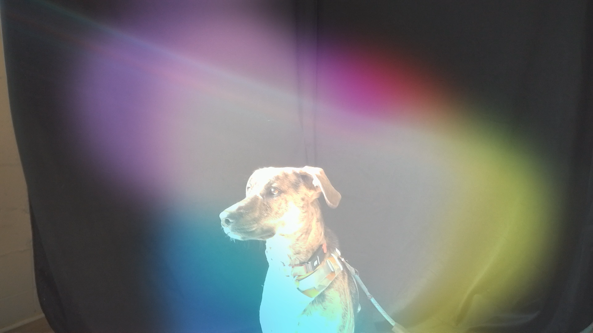 Image (242).png