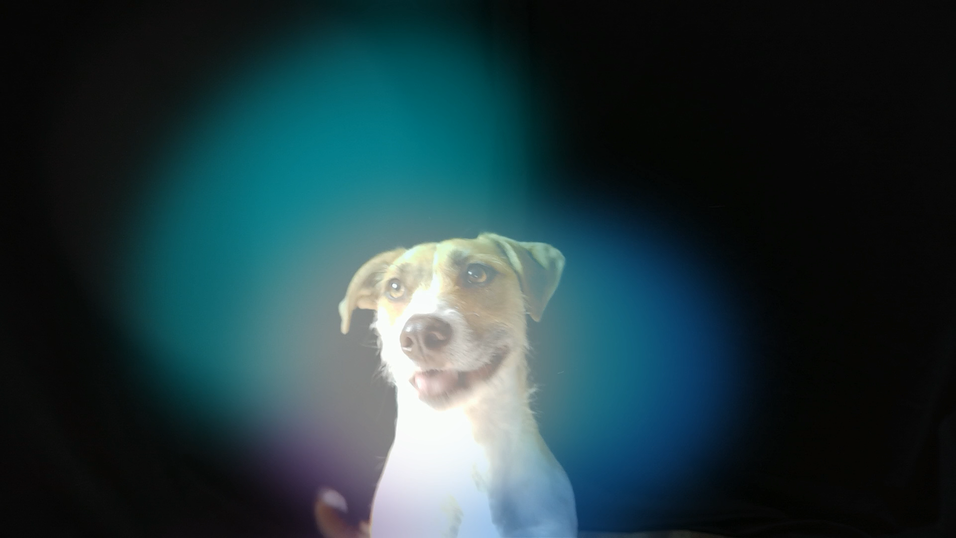 Image (231).png
