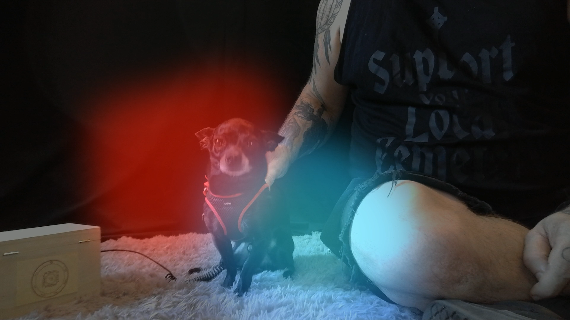 Image (220).png