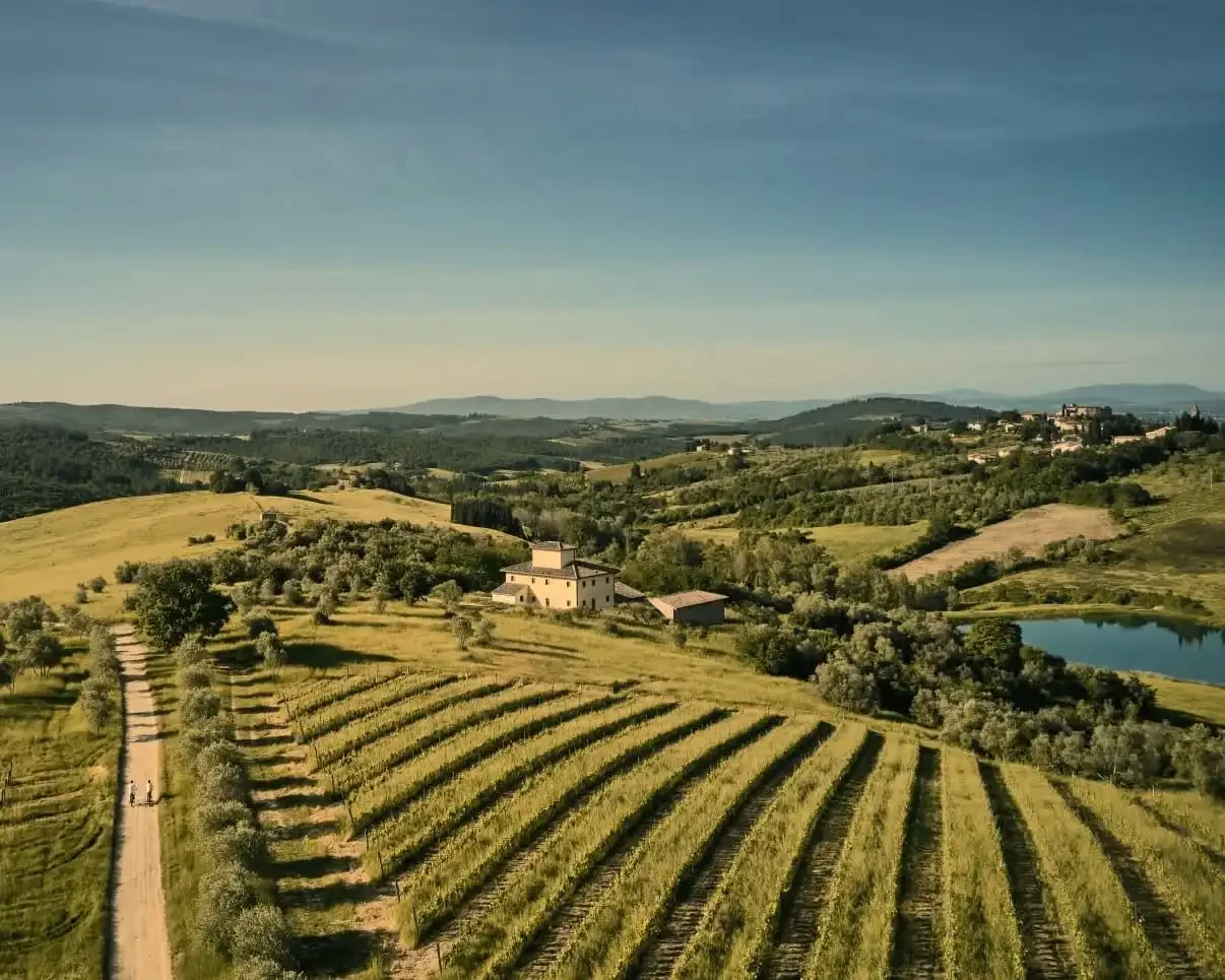 Insider’s Guide to Italy’s Wine Regions