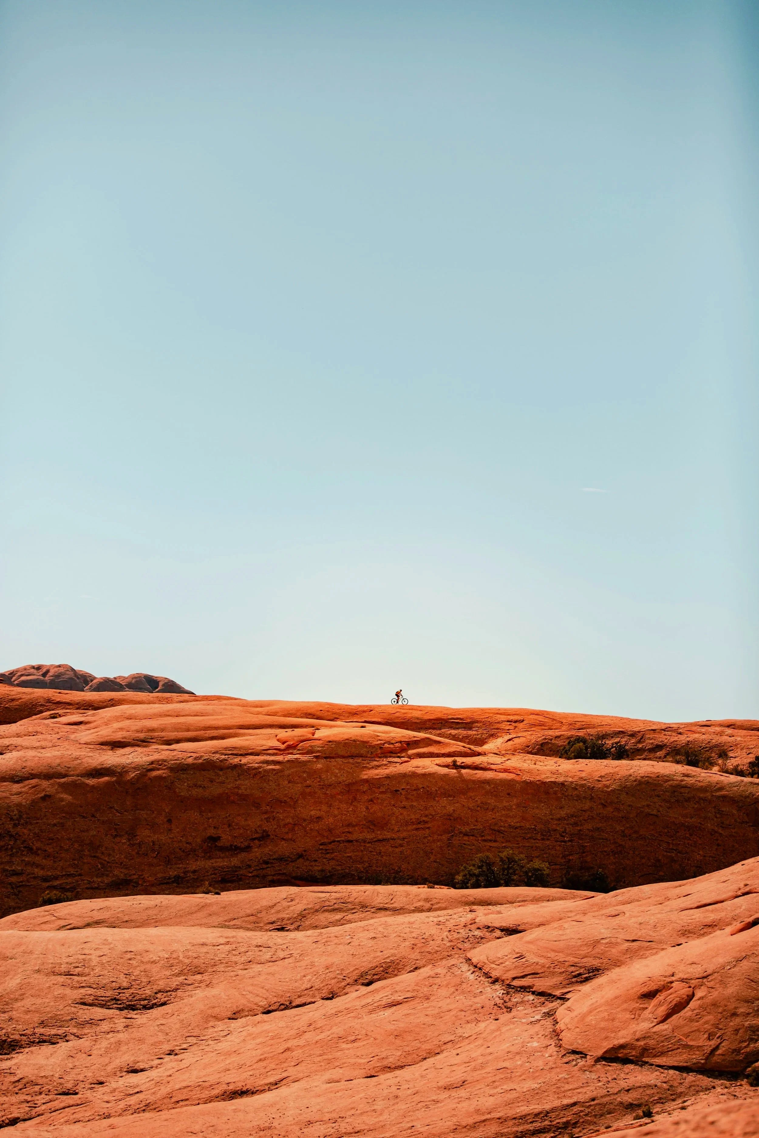 Pitch Deck Consultation