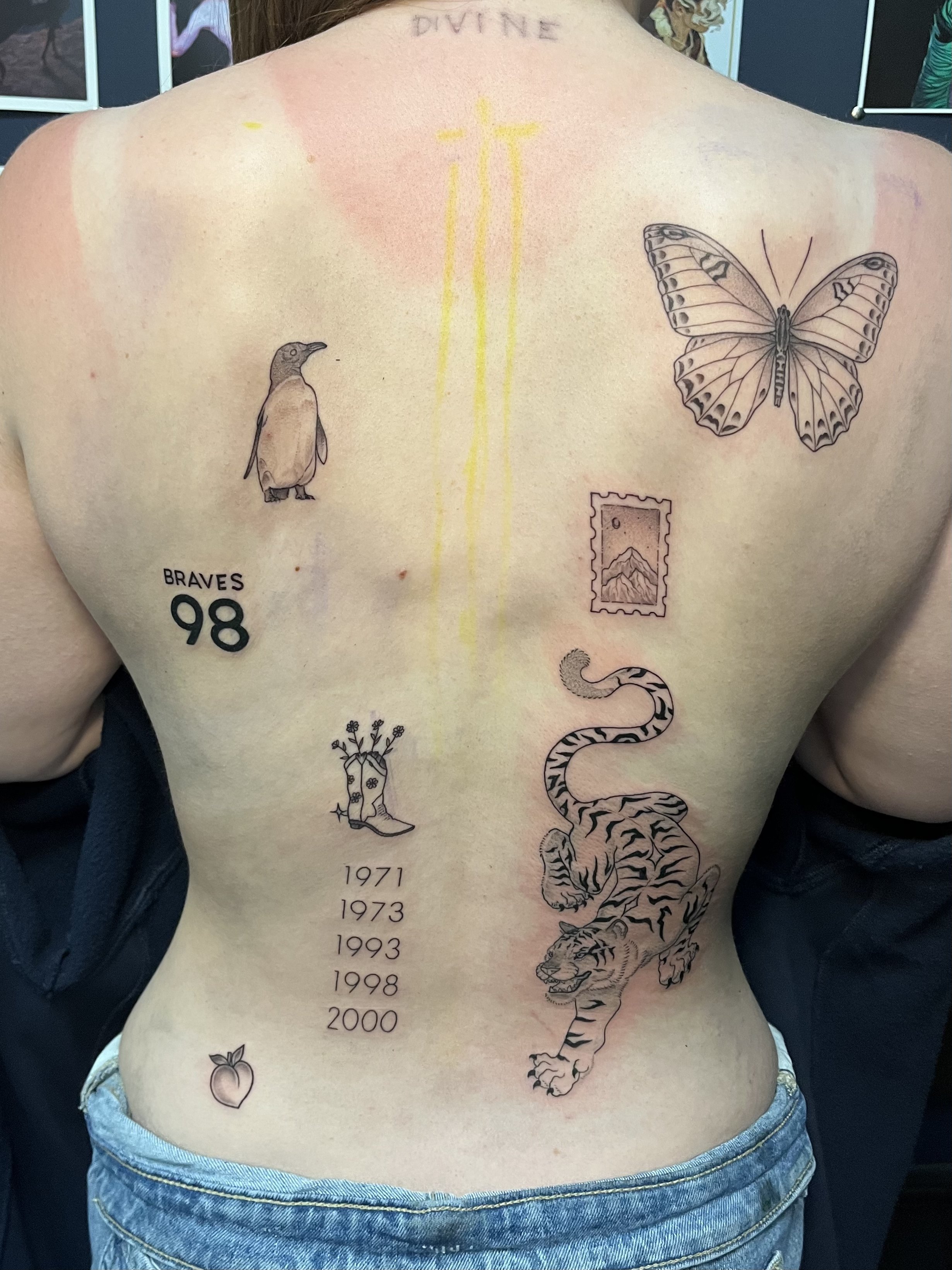 Back project WIP.jpeg
