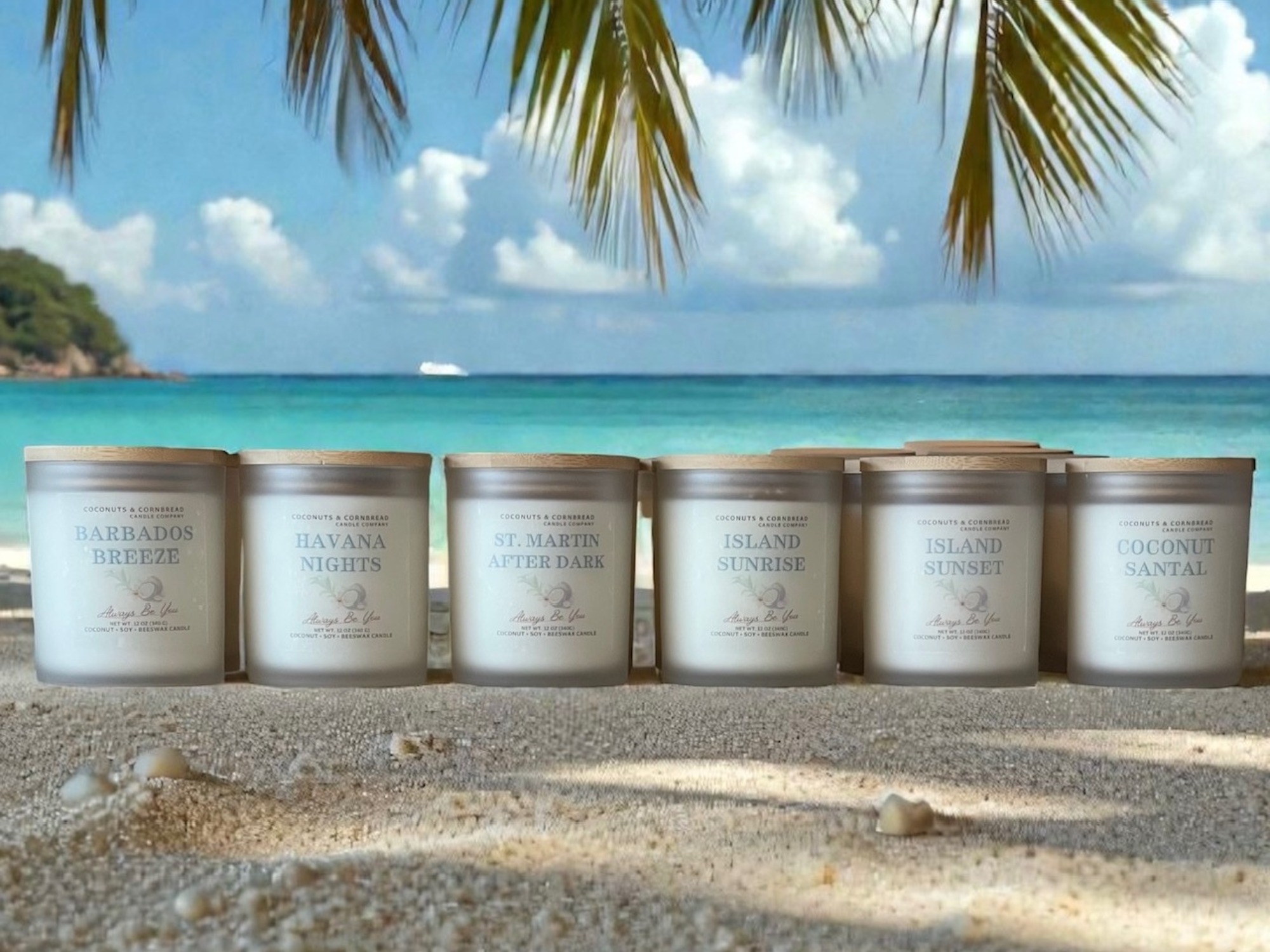 Coconuts Collection.png (Copy) (Copy) (Copy)