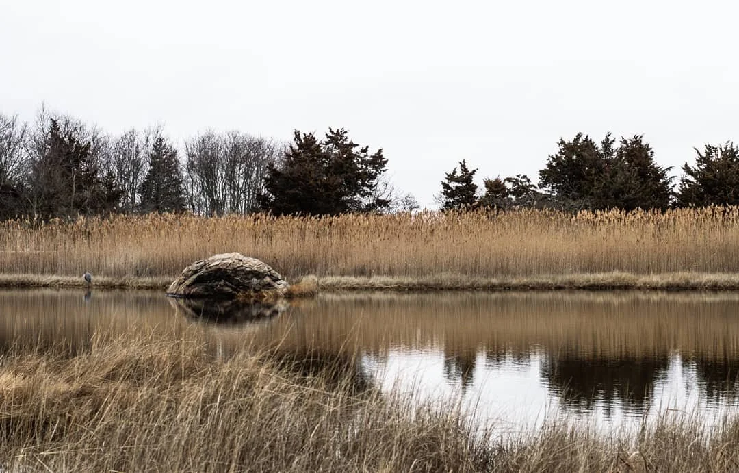 I haven't been to this park in about a decade! Felt great to return and spend time with nature at a breathtaking Connecticut beach.