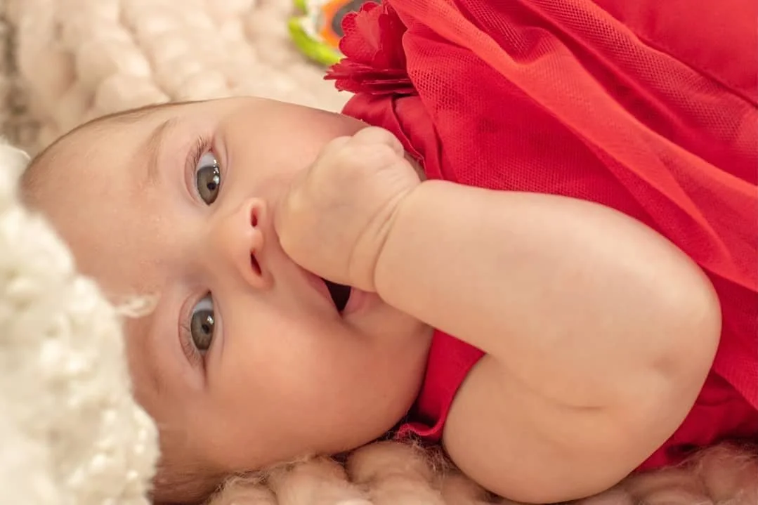 Say hello to my newest client 😁