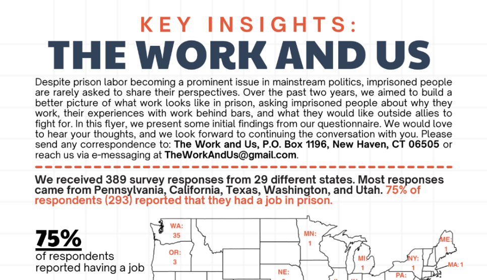 Key Insights: The Work &amp; Us