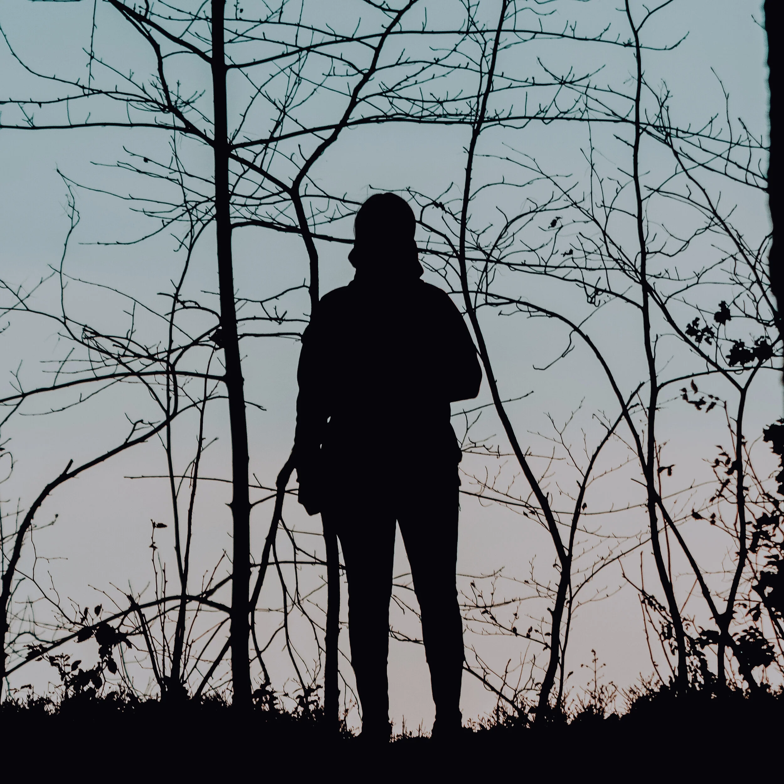 The silhouette of a person standing in front of tree branches with a pale sky behind them.