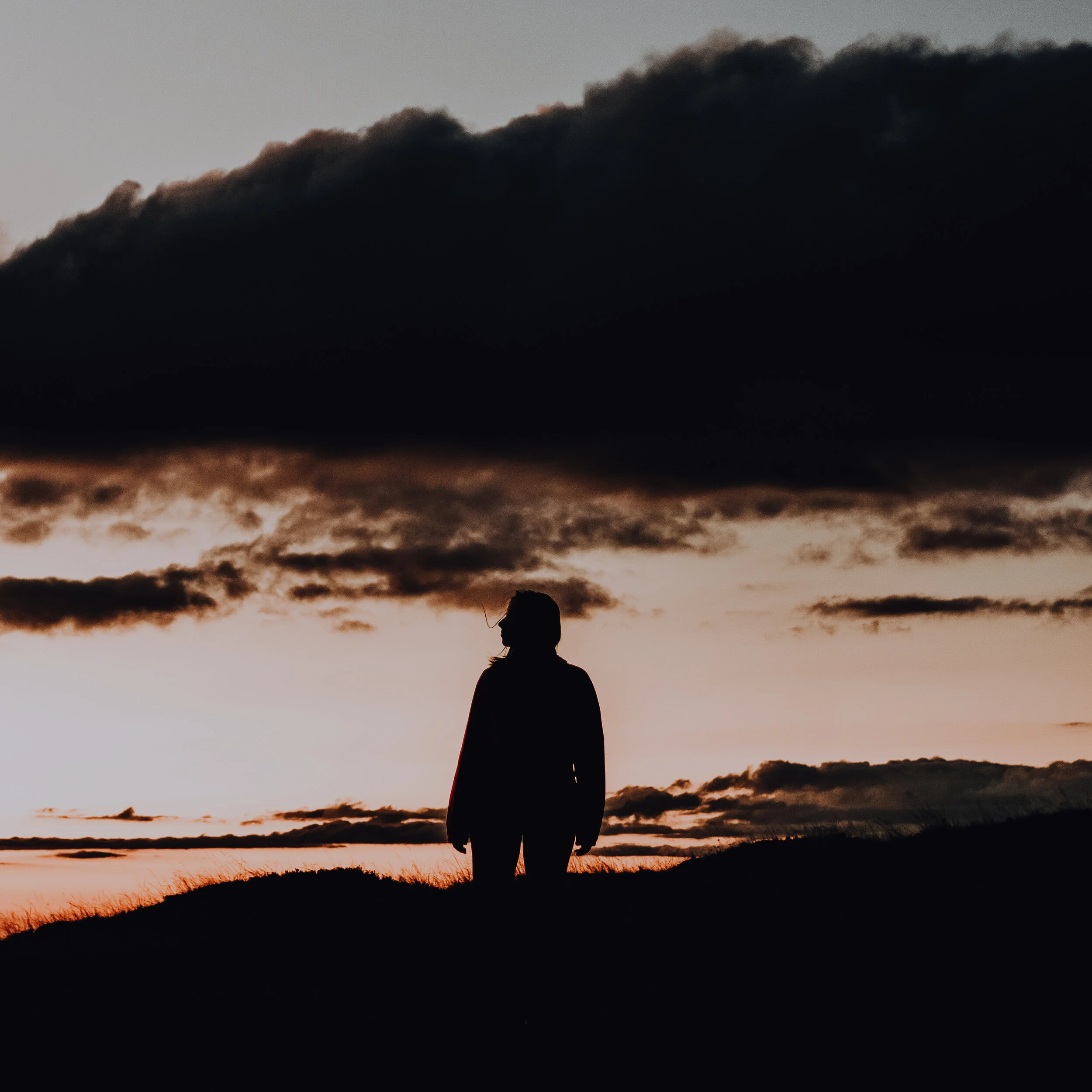 Anonymous Contributor 1