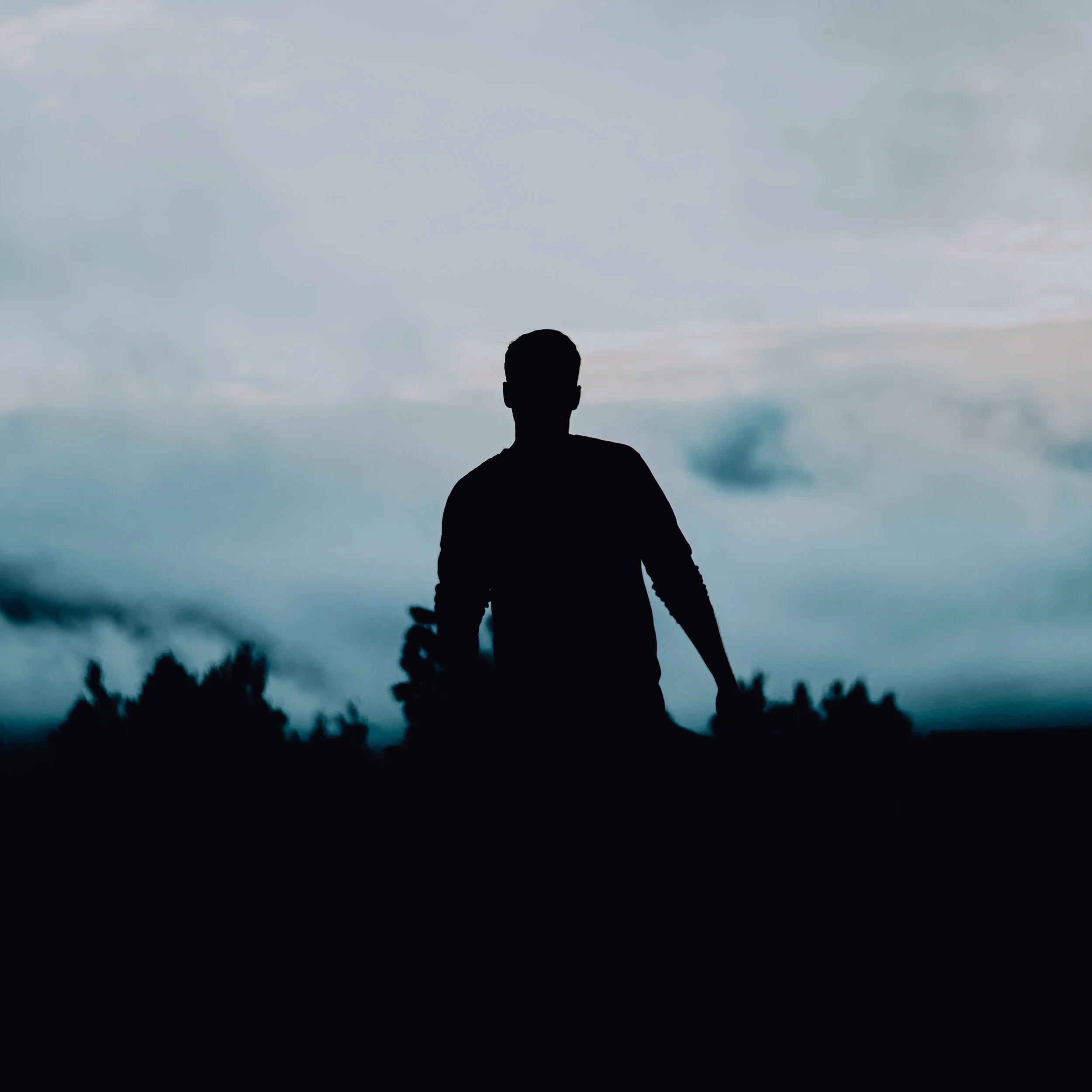 Anonymous Contributor 2