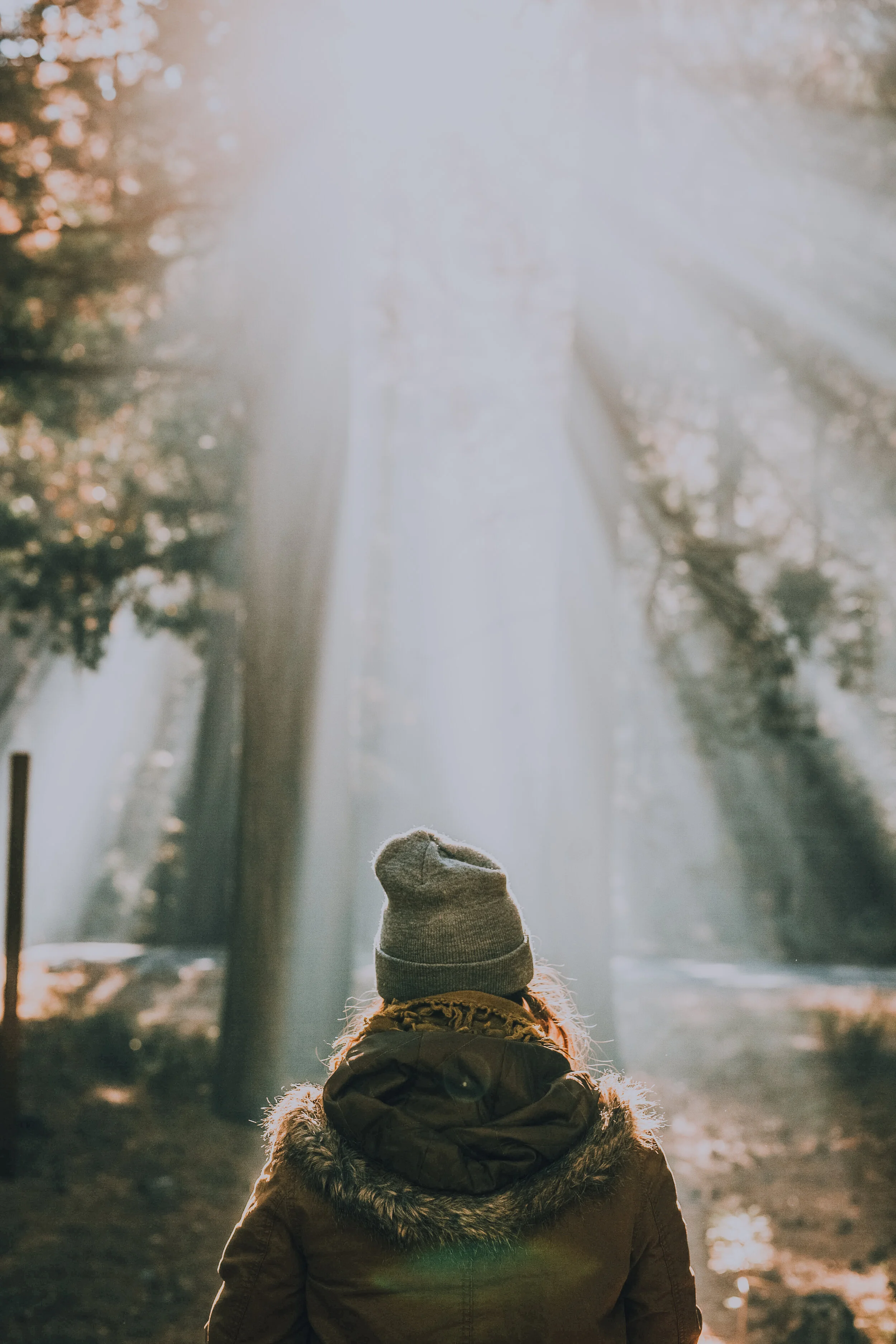 A photo of a person wearing a coat in a forest, standing in front of the sun streaming through the branches.