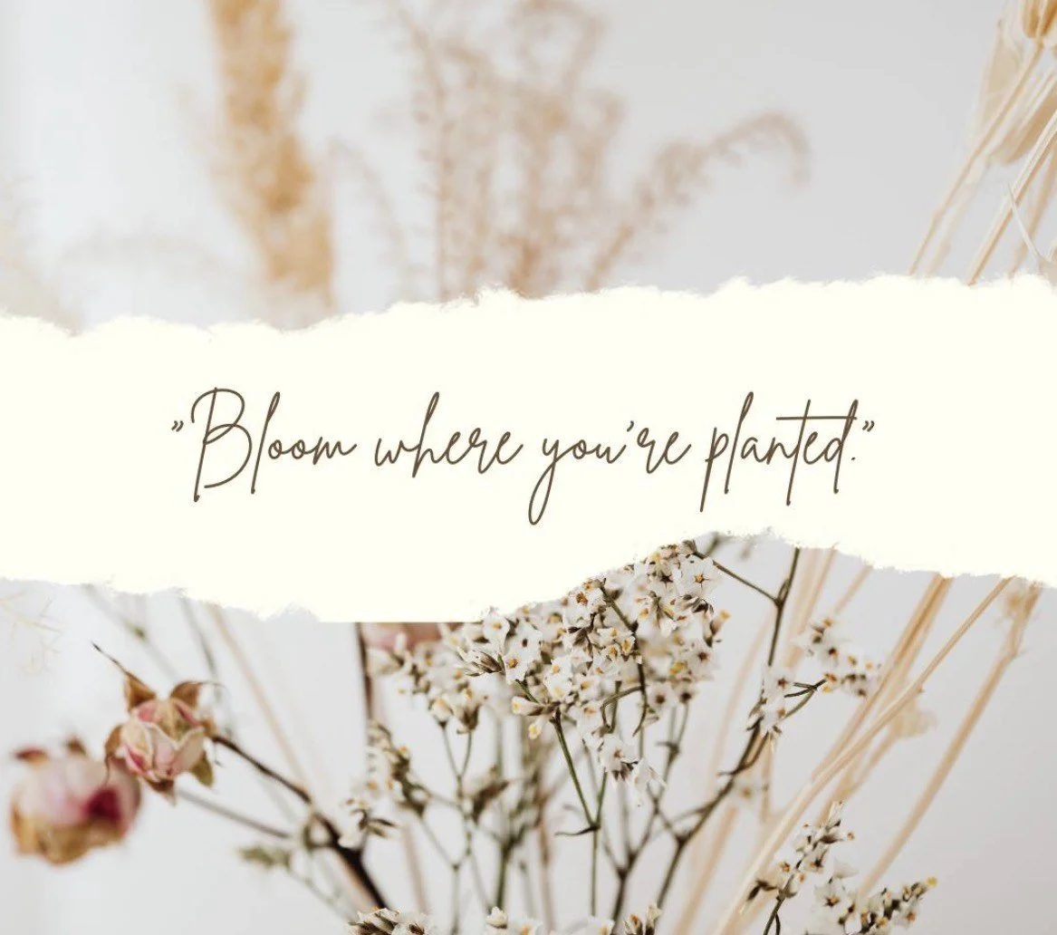 A decorative background with dried flowers and a quote that reads 'Bloom where you're planted.'