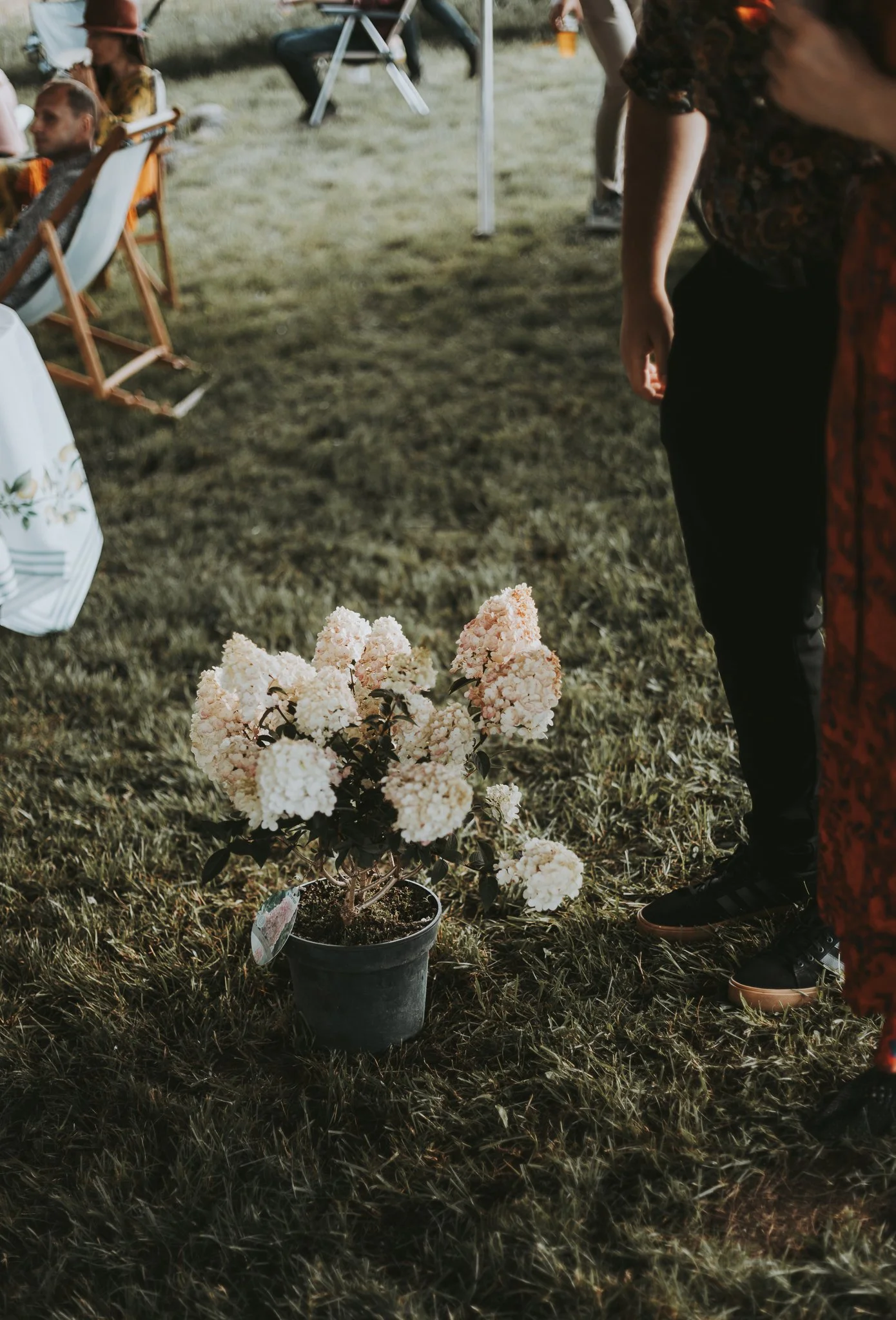 Gipsy Gretos ir Deimanto vestuvės