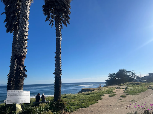 Santa Cruz Is Buzzing (Here’s Why) ☀️🌸
