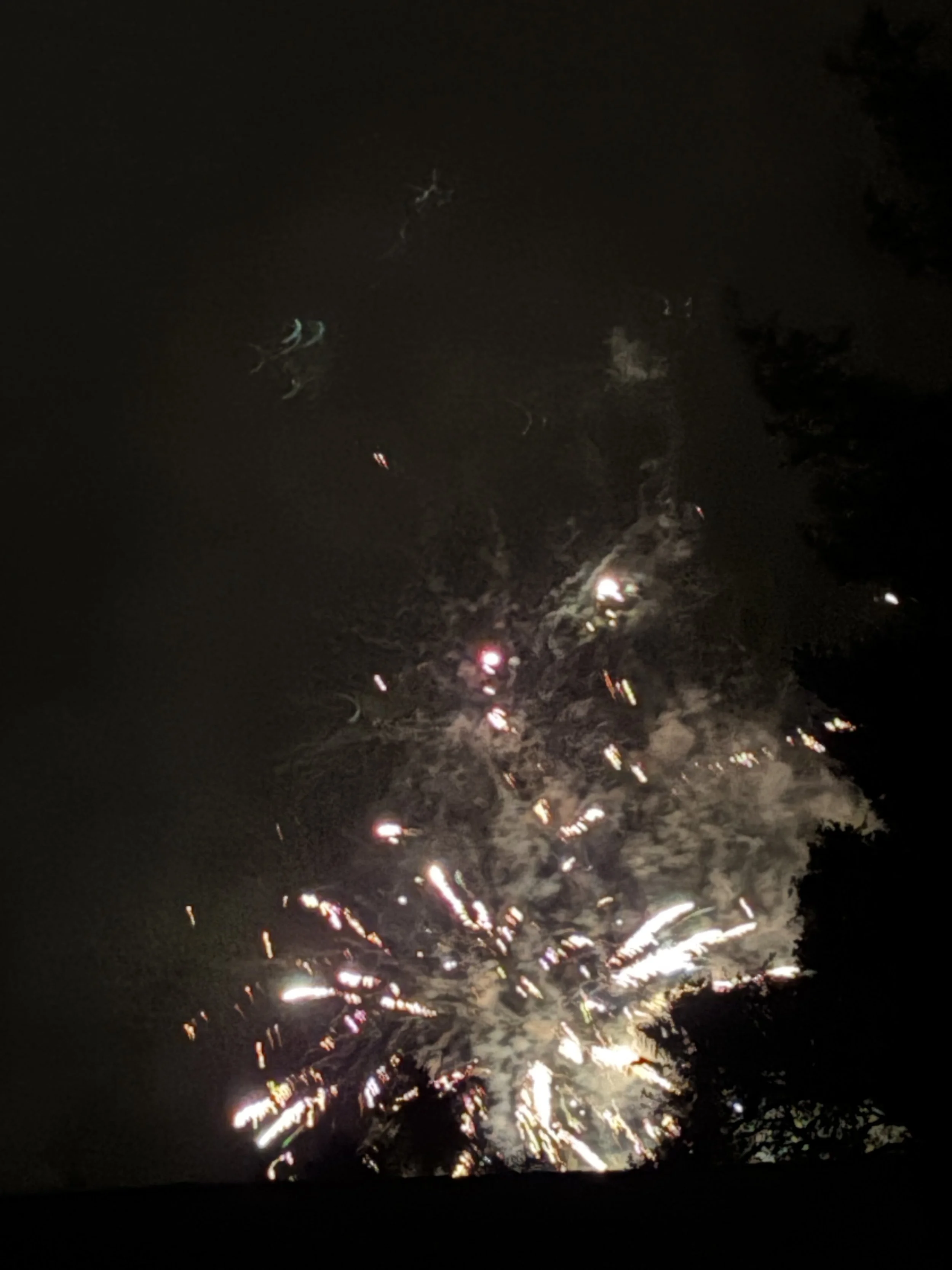 Fireworks, Flyovers &amp; Fourth of July Fun 🇺🇸⭐🎆