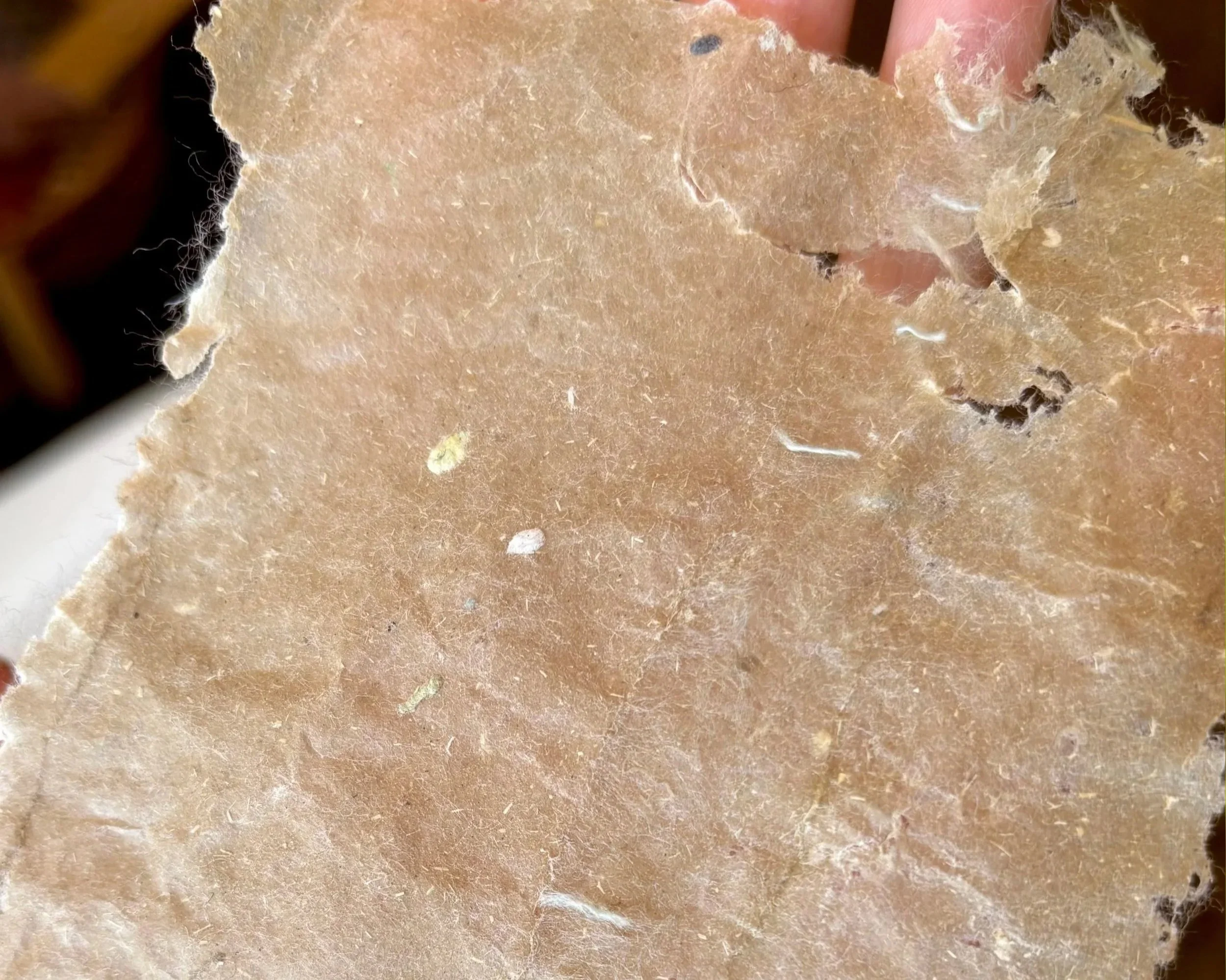 Experimenting with Paper