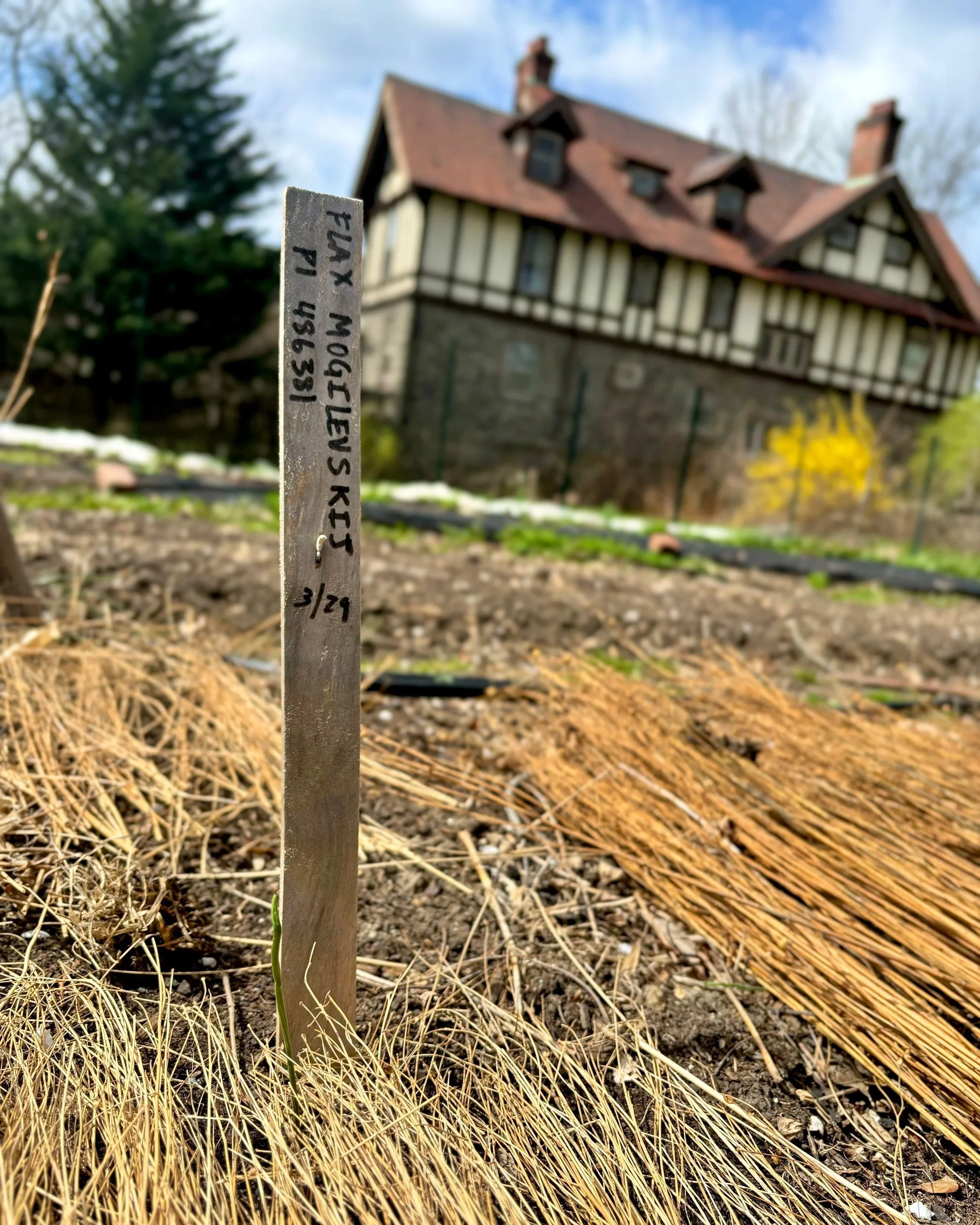 Wyck House's Farm Club Meeting