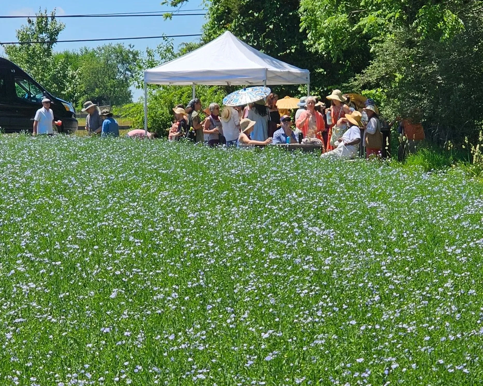 2026 Flax Picnic