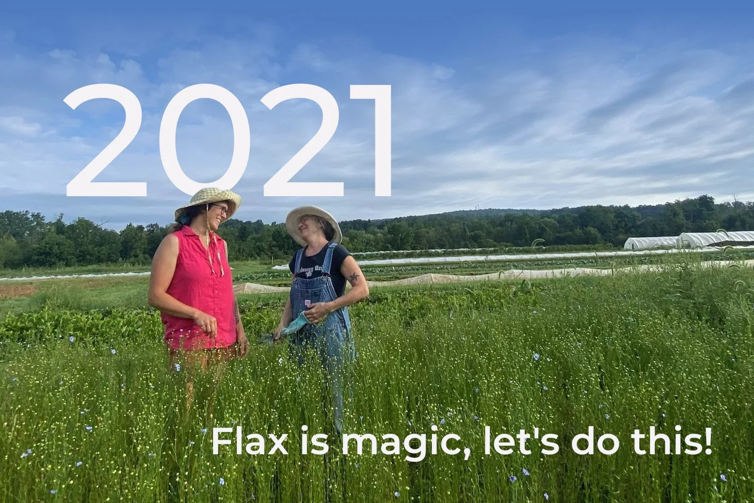A year of planning our growth strategy and expanding our community network. We worked with consultants at Fibrevolution, assembled a core group of volunteers, wrote our business plan and planted flax in 8 locations.