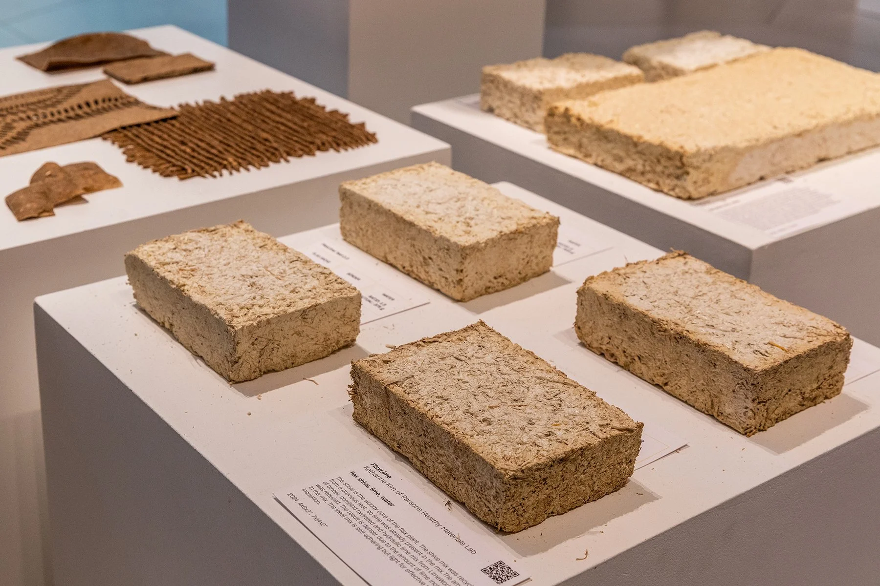 A photo of six rectangular bricks made of plant matter on display in a museum exhibit.