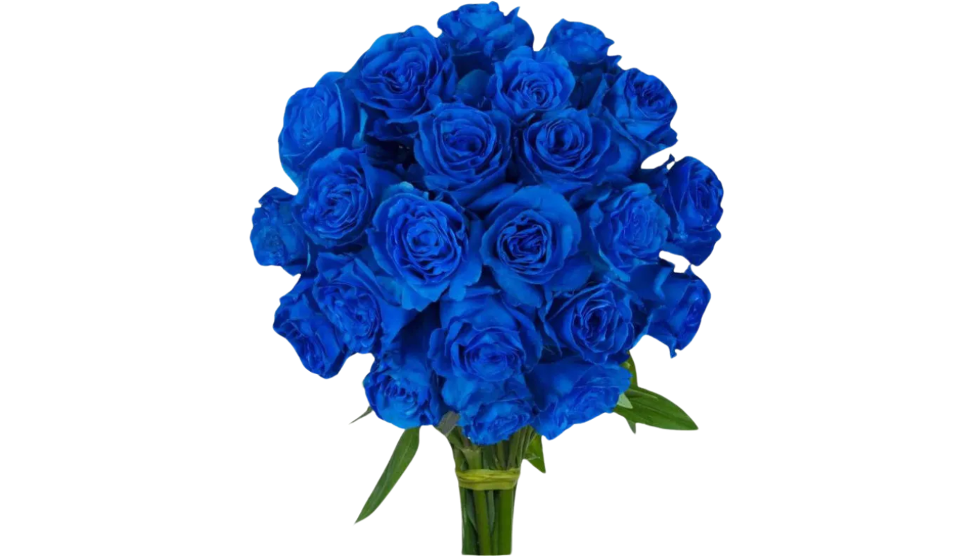 Blue Roses Long Stem (2 Dozen) .png