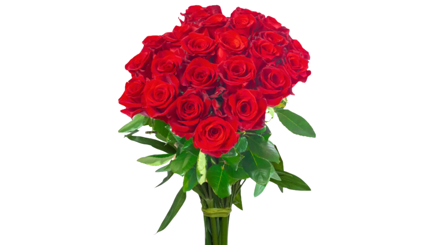 1 Dozen Red Roses