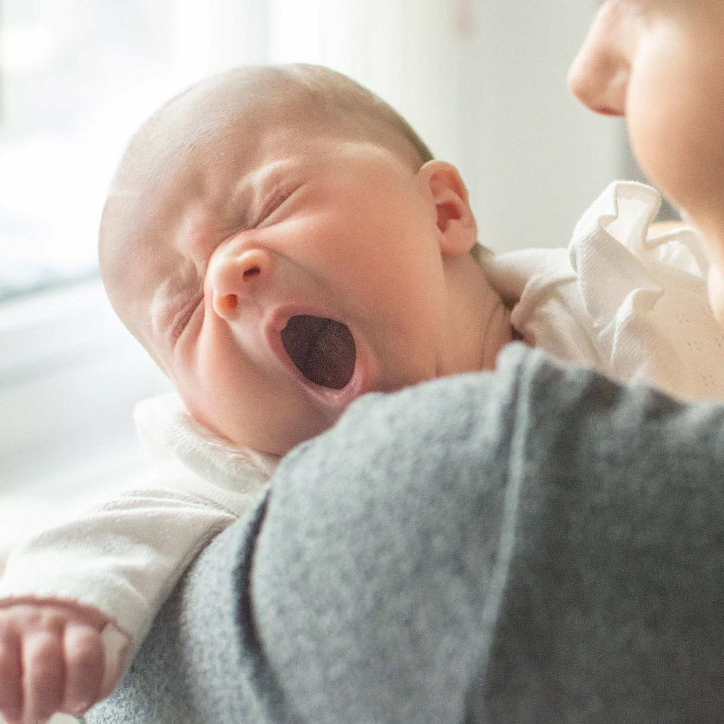 The cutest little yawns... 🌟

I'm here to quietly capture it all.

Relaxed newborn sessions, right from your home.