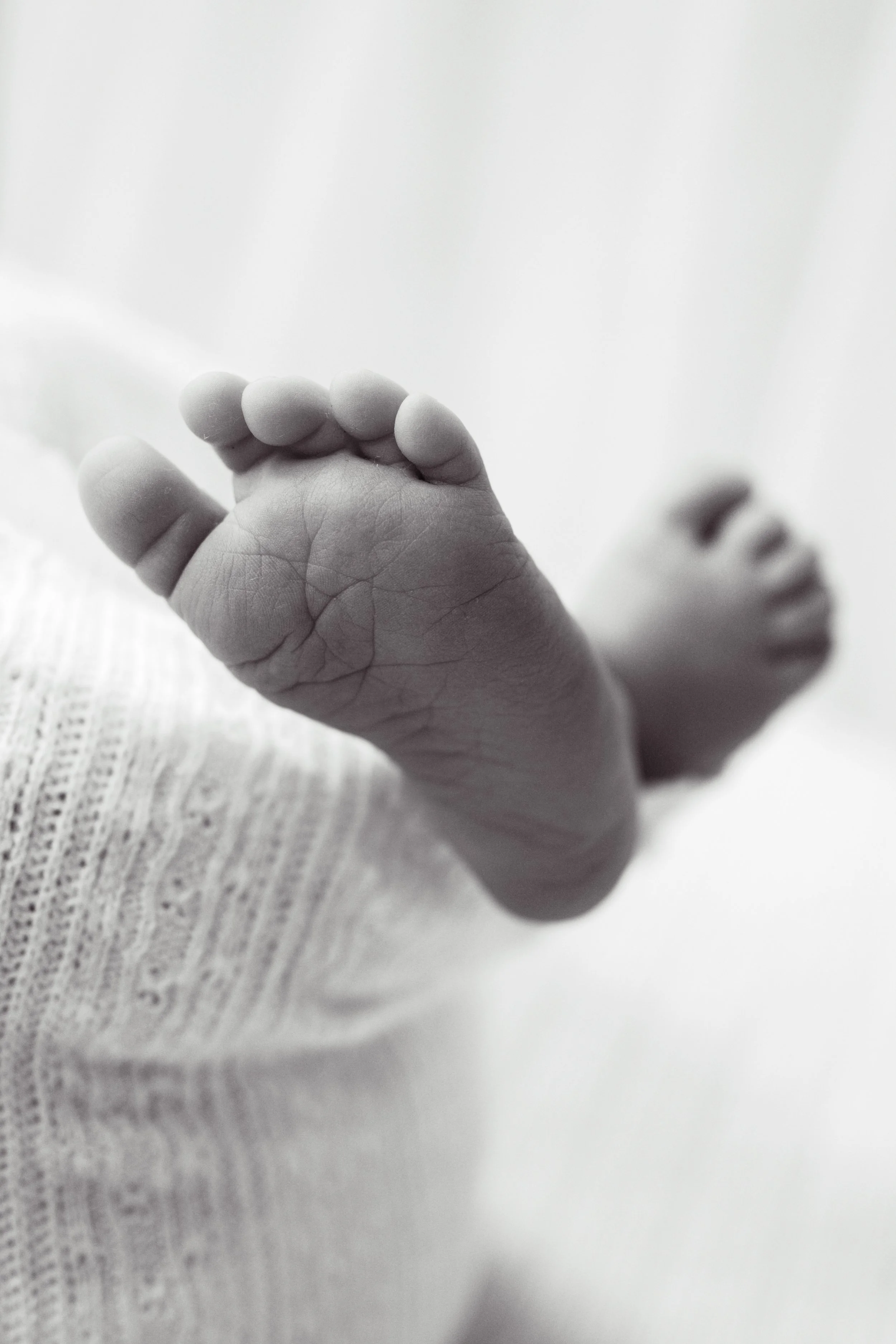 Black and white close-up of a newborn baby's tiny feet.
