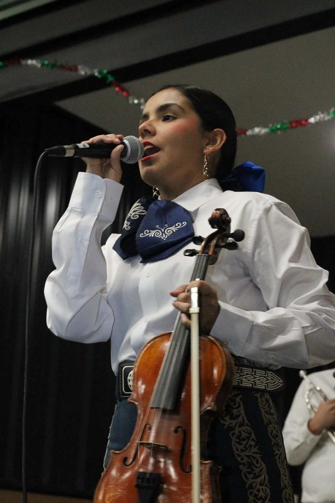 Mariachi Serenata Service