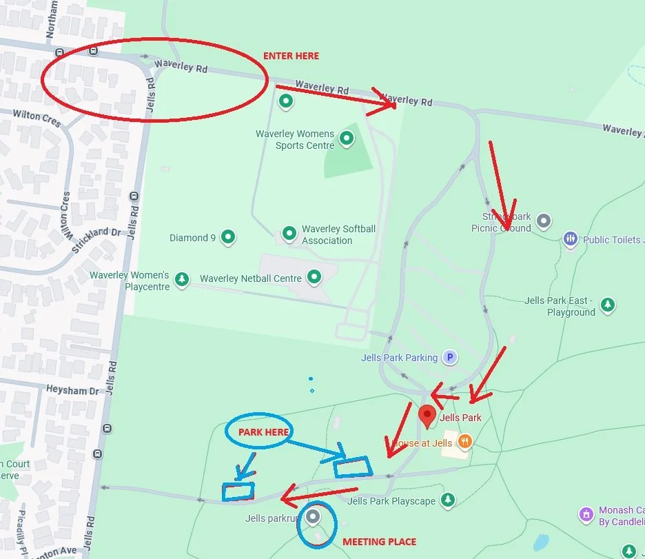 Map of Jells Park showing parking areas and the meeting point for the Walk for Life - Melbourne,  at Jells Parkrun which is near Yabby Hill and the T-House