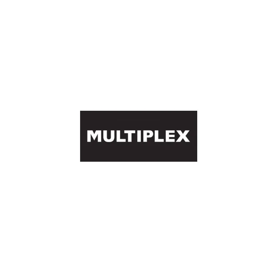 Black rectangle with white text that reads "MULTIPLEX".