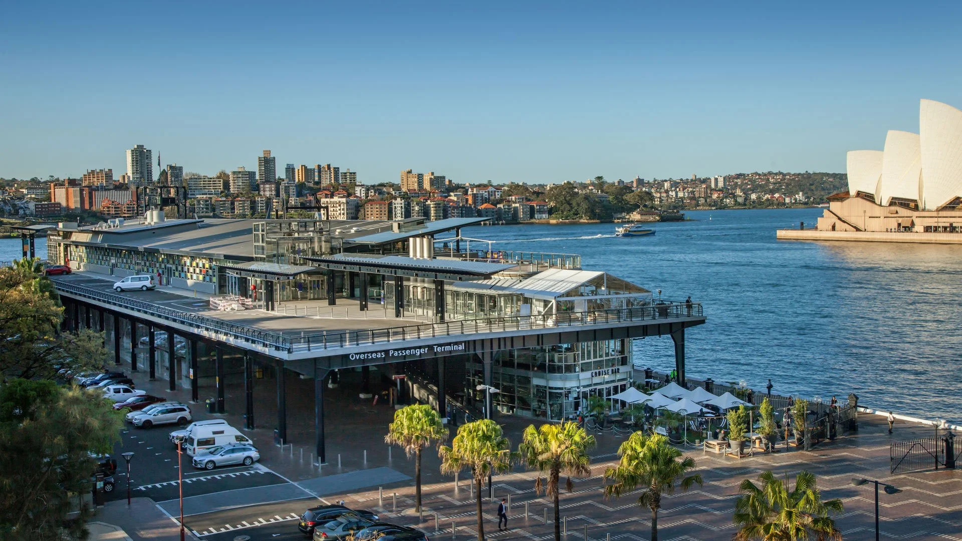 View of Sydney Harbour with the Overseas Passenger Terminal and the Sydney Opera House in the background, clear blue sky, boats on the water, palm trees, and parked cars.