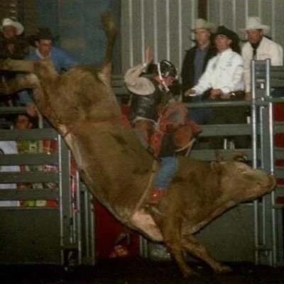 A rodeo event where a cowboy is riding a bucking bull inside an arena, with spectators watching in the background.