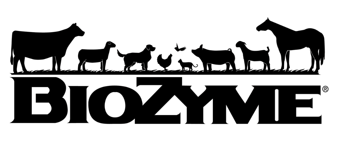 Animals such as a bison, horses, deer, bear, elk, wolves, and birds illustrated above the word 'Biotic' with the word 'Biotic' written in large letters below them.