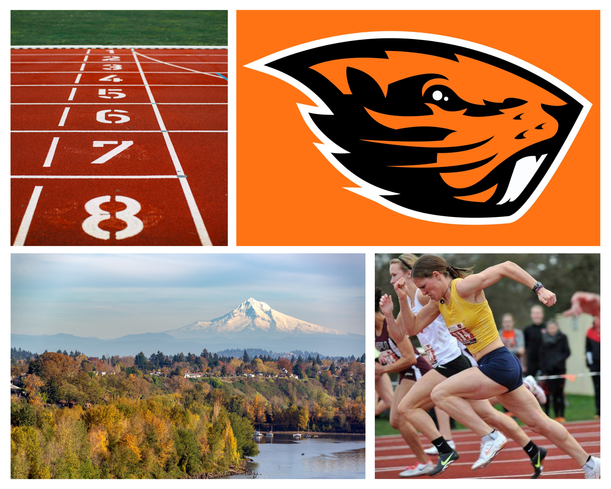 A collage of four images including a running track, a sports team logo, a mountain and forest scene, and female runners at a race.
