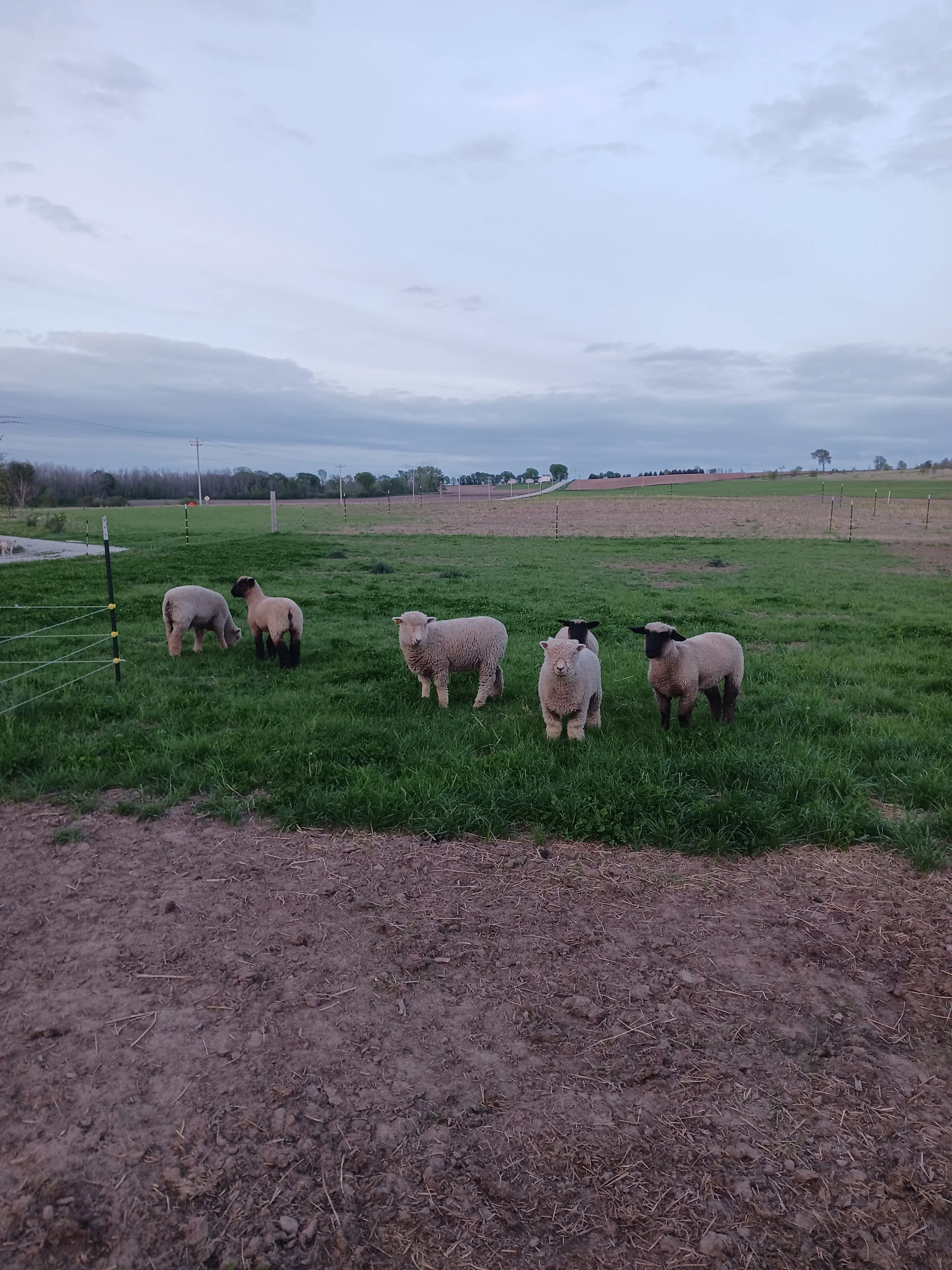 20250518_201122 (1).jpg