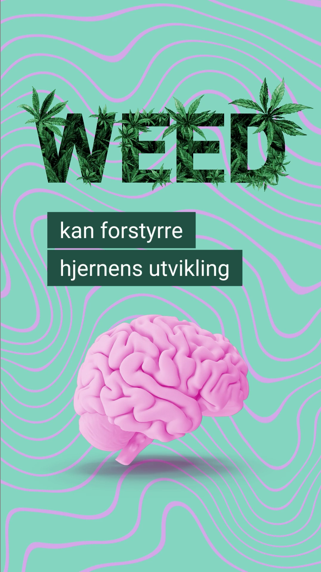 HDIR_Cannabis_Weed_Mønstret_9_16_Insta_6sek_00051.png