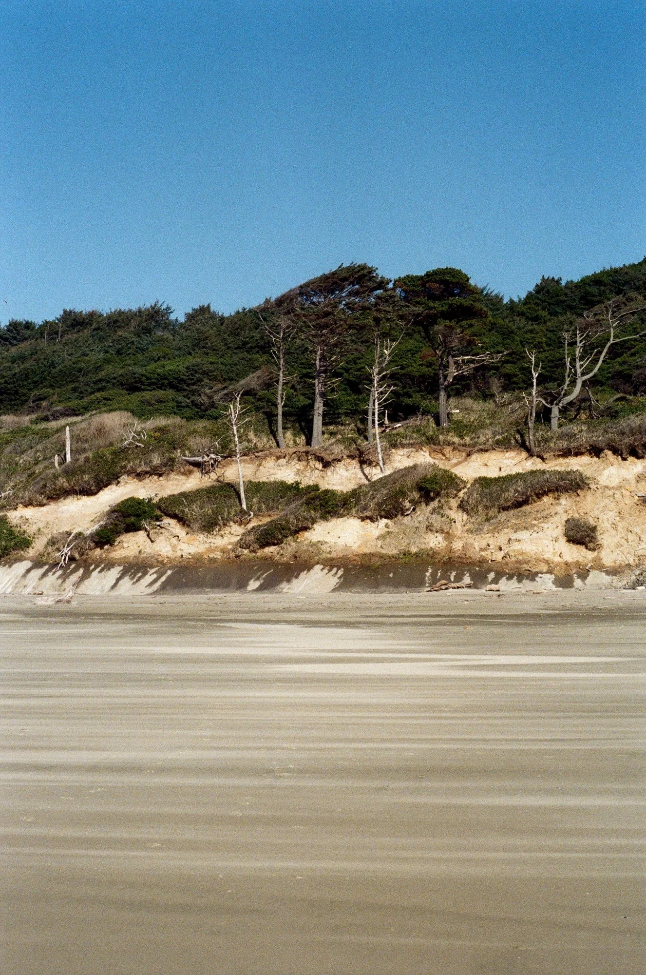 beach oregon 3.jpg