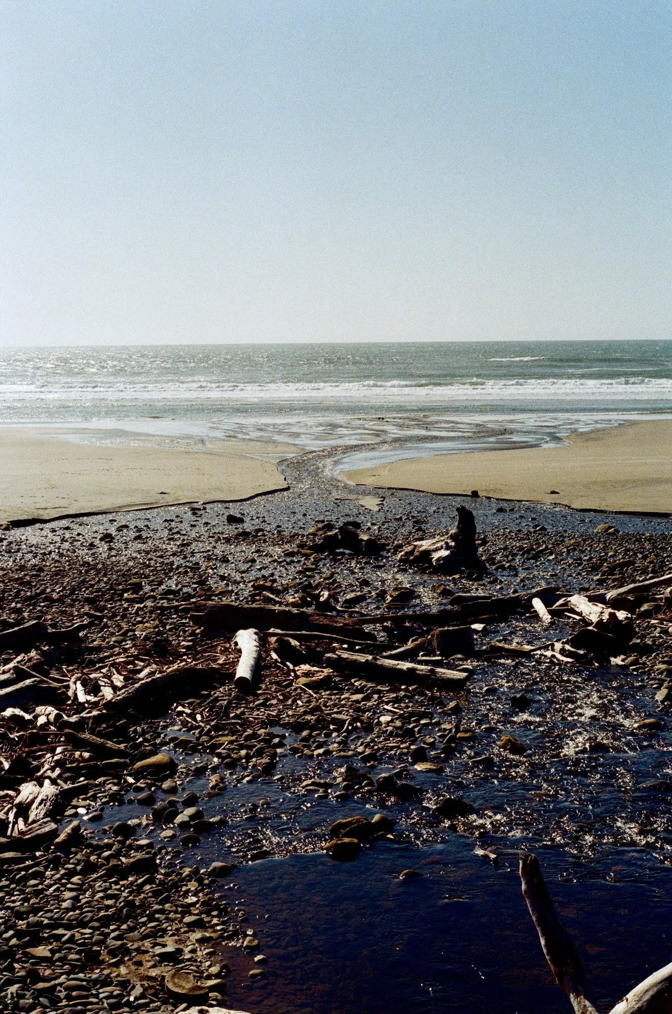 beach oregon 7.jpg