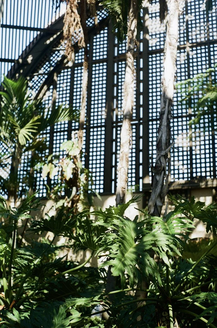 san diego garden.jpeg