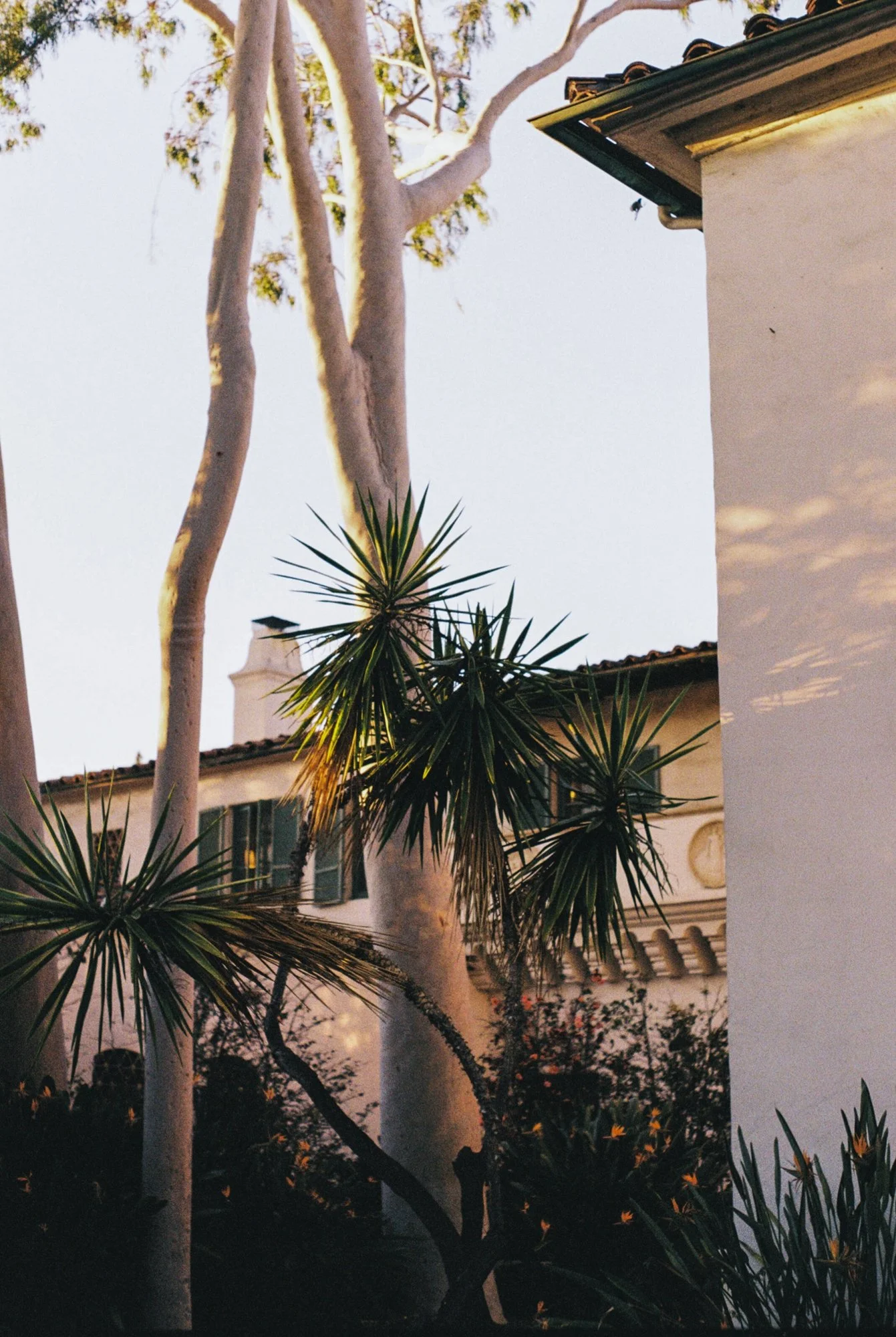 outside clark 2.jpeg