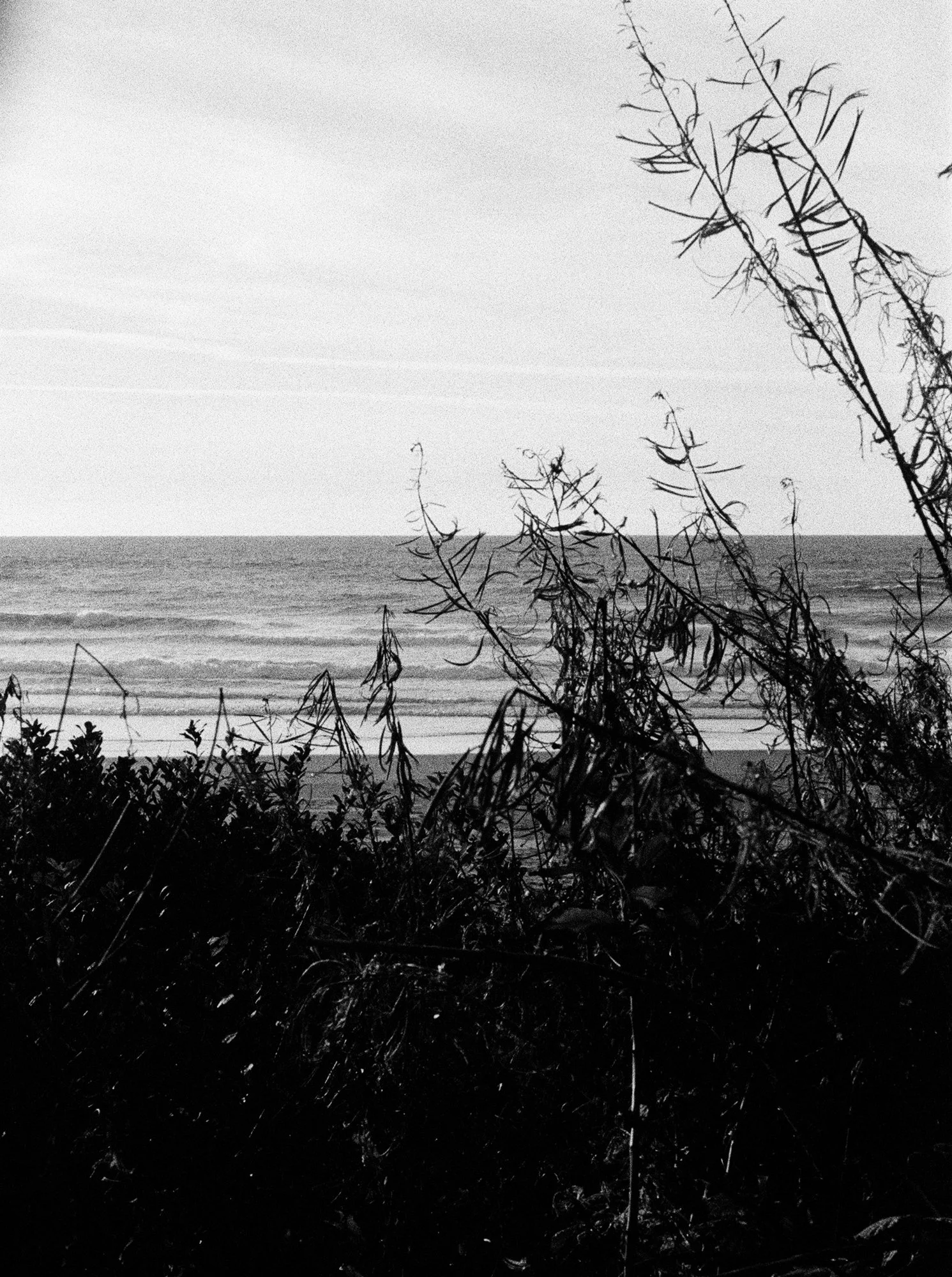 beach oregon BW 2.jpg