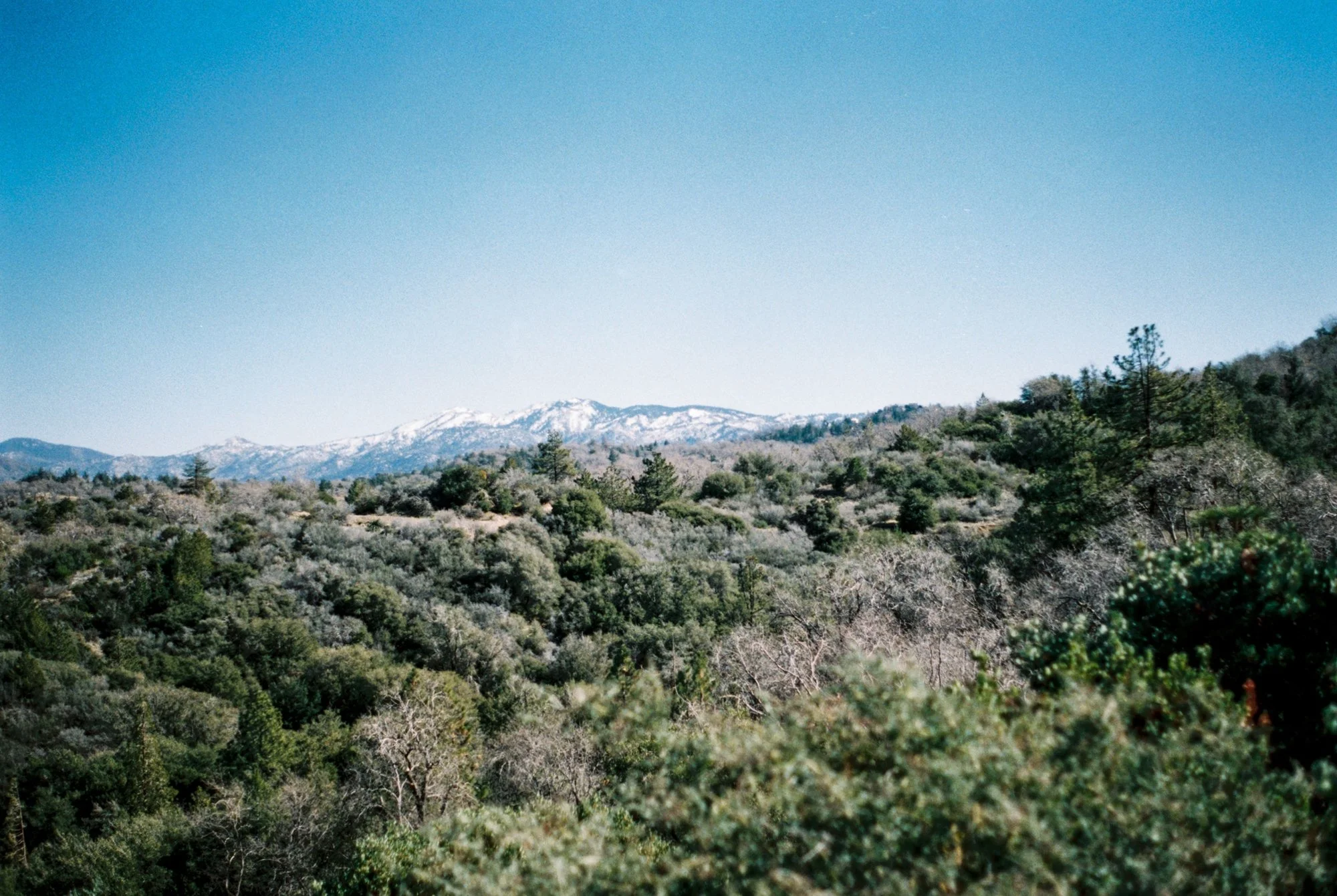 lake arrowhead hike 2.jpeg