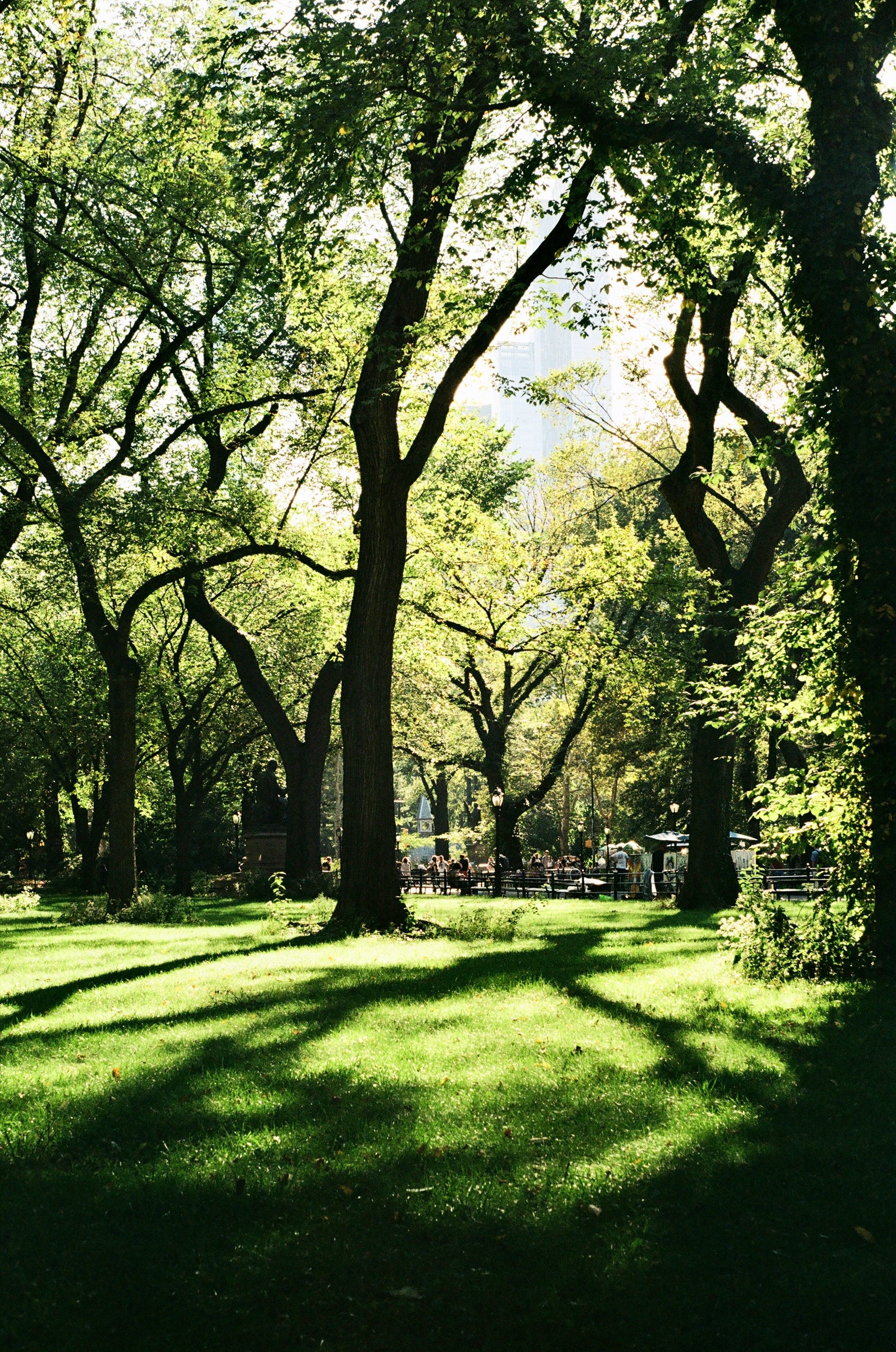 Imports - 24 of 43.jpeg