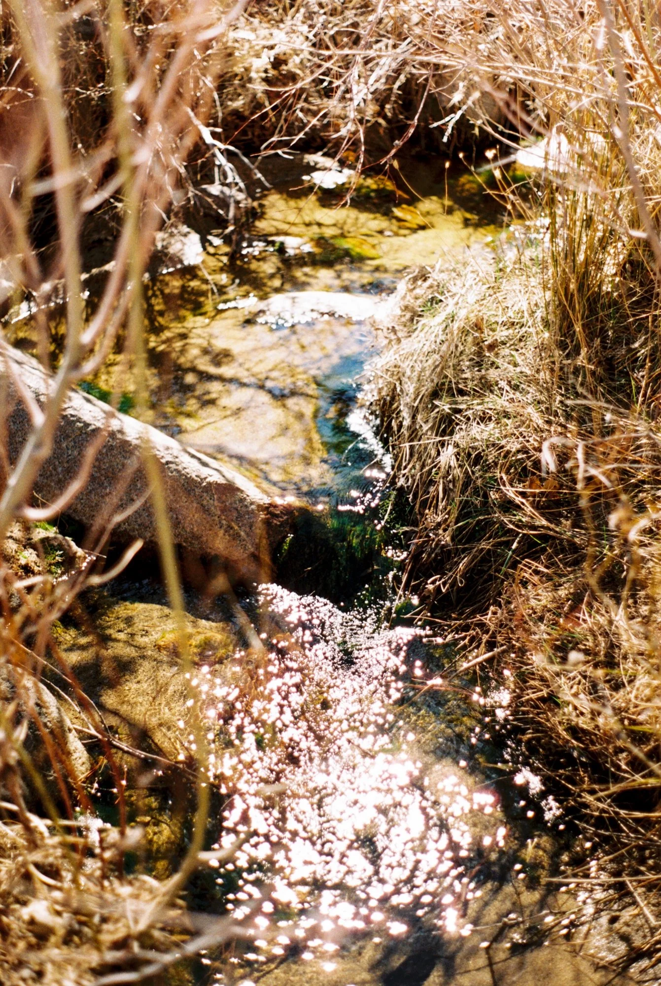 lake arrowhead water.jpeg