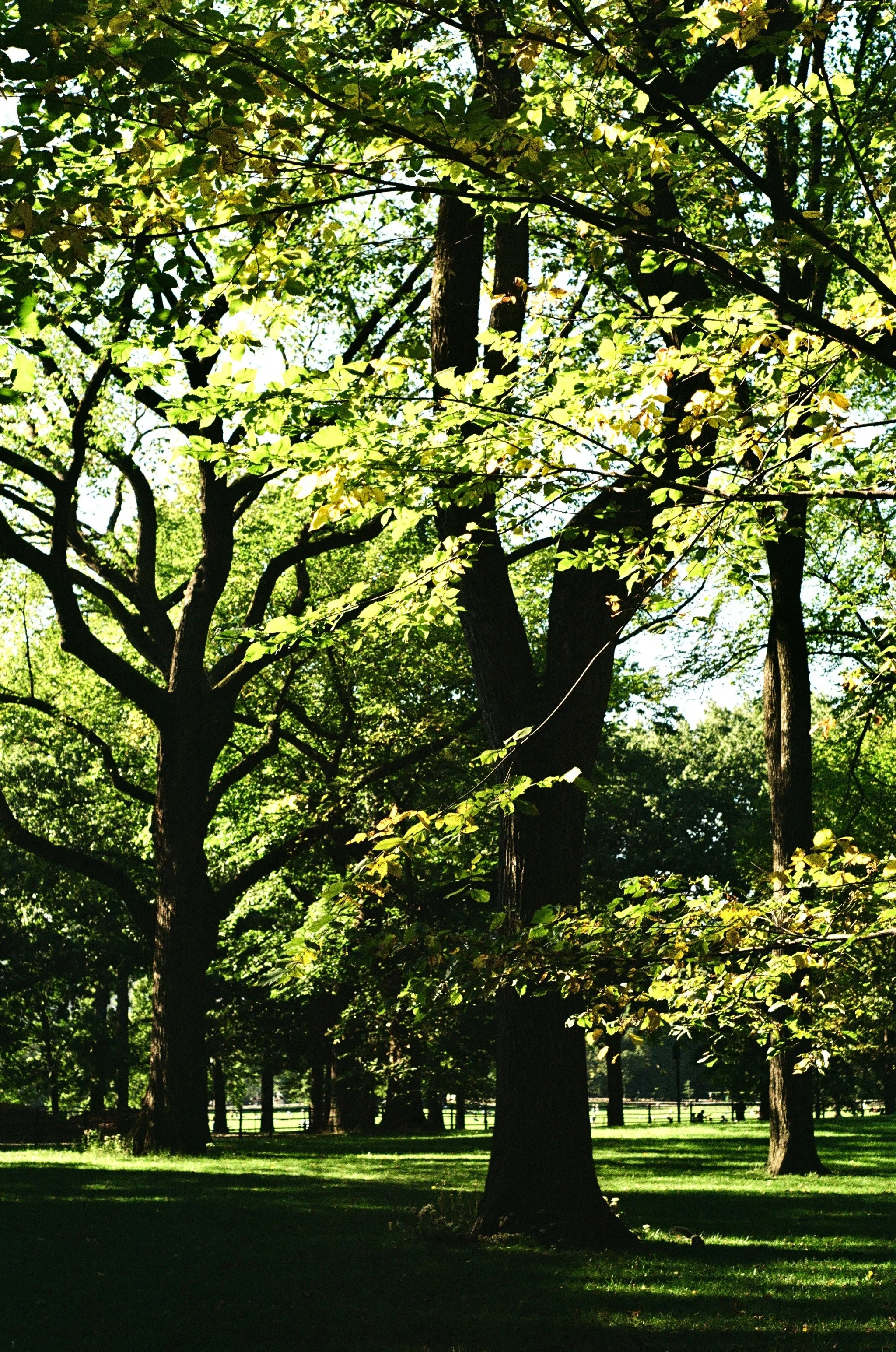 Imports - 6 of 43.jpeg