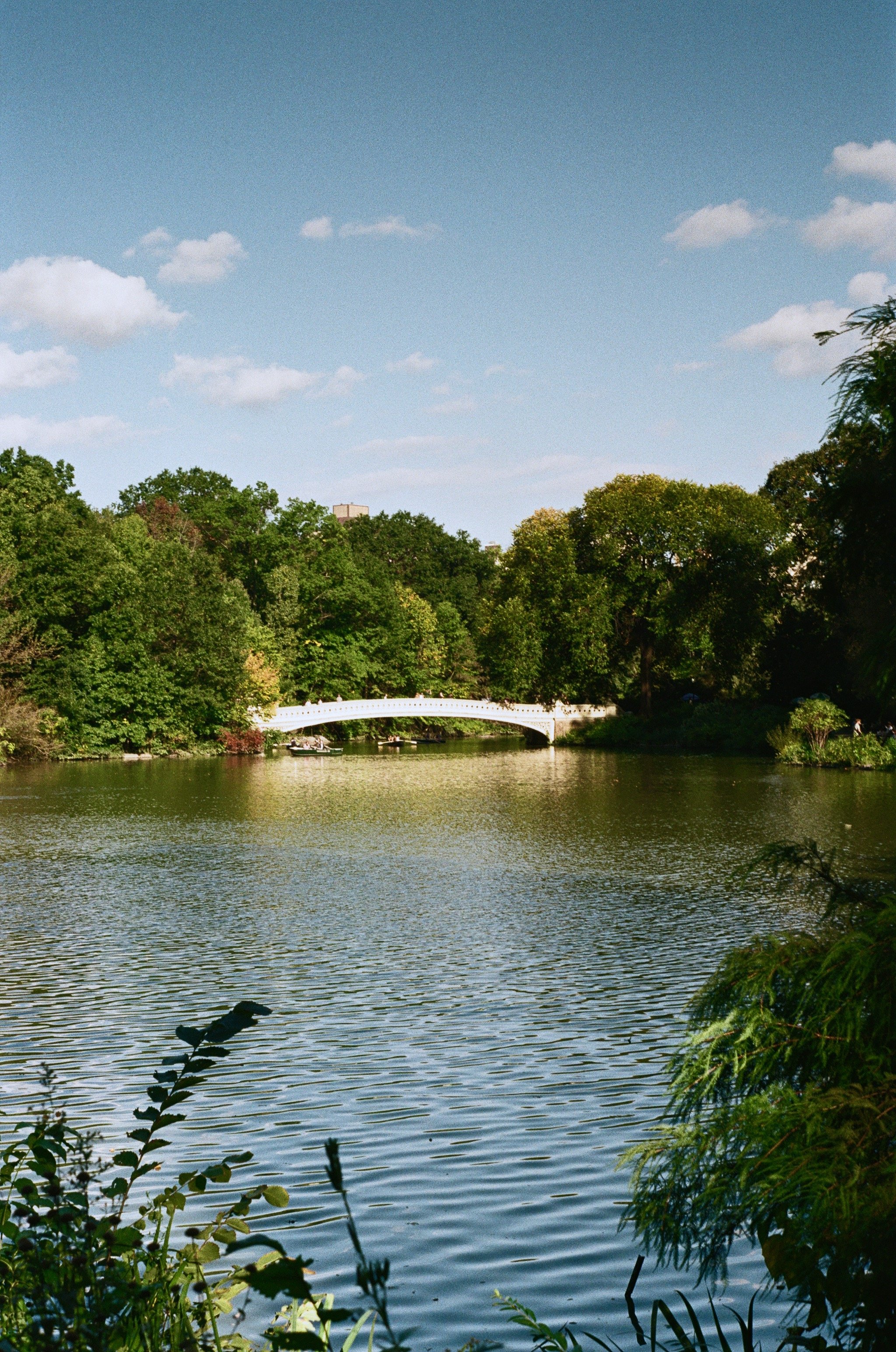 Imports - 19 of 43.jpeg