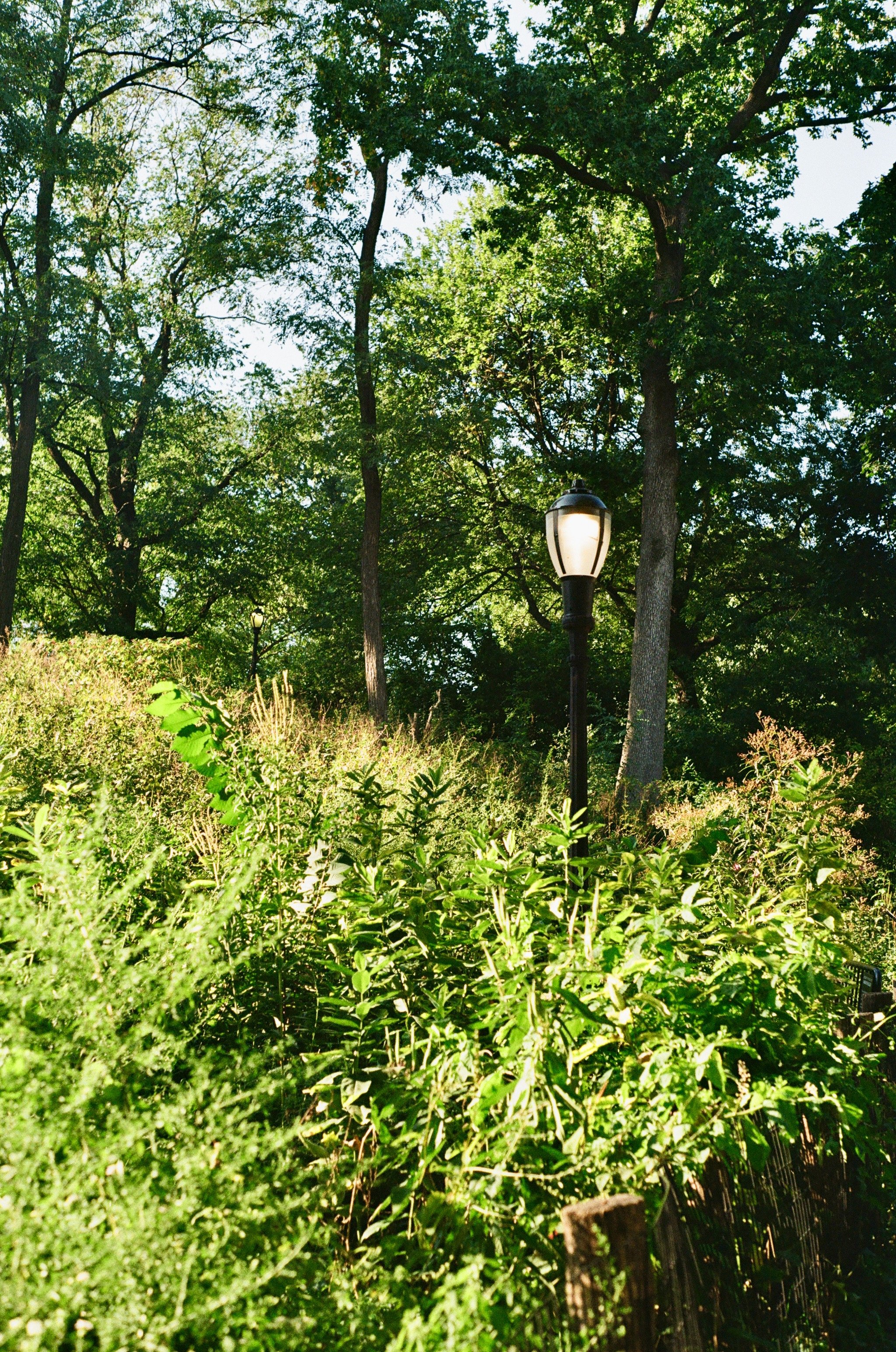 Imports - 9 of 43.jpeg