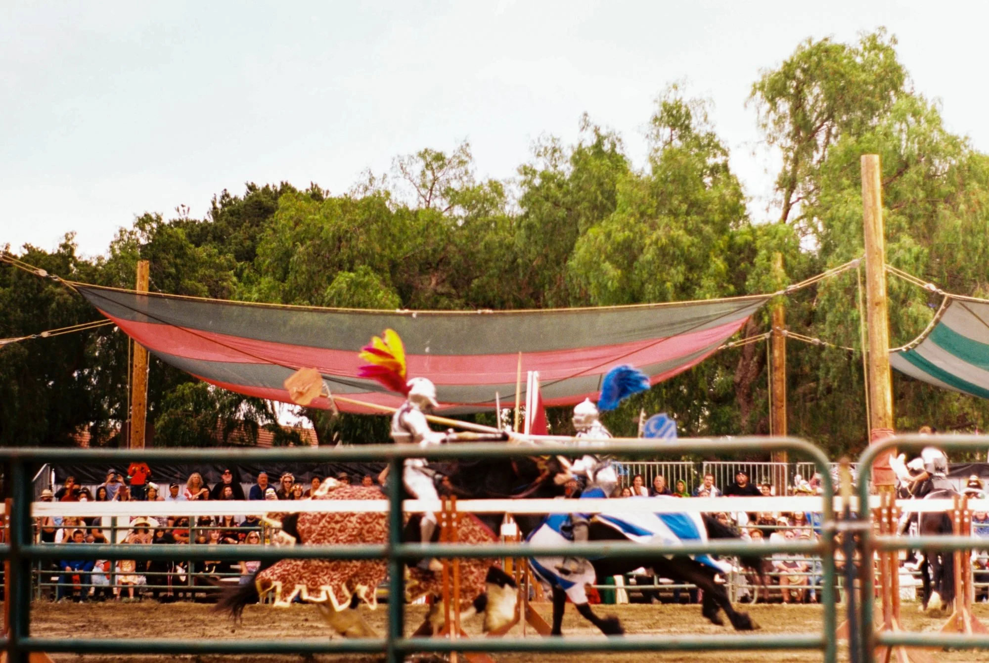 jousting.jpeg