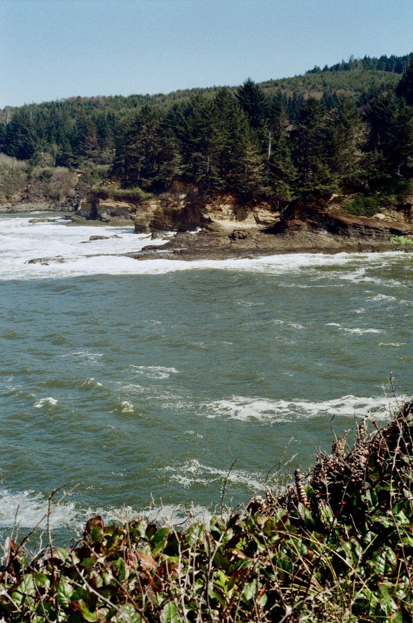 oregon ocean 20.jpg