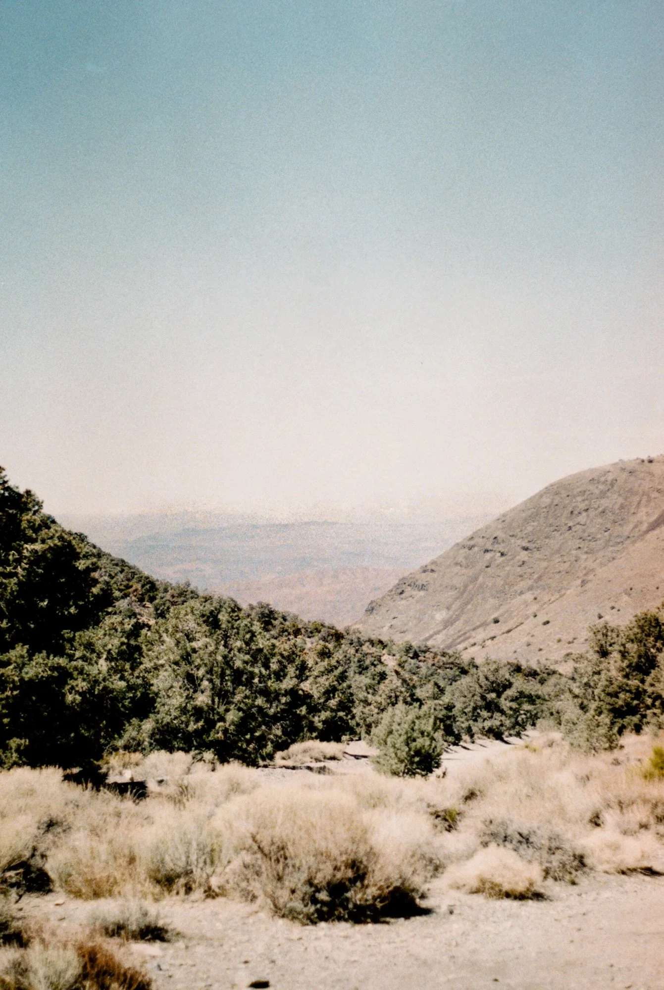 mountain view DV.jpeg